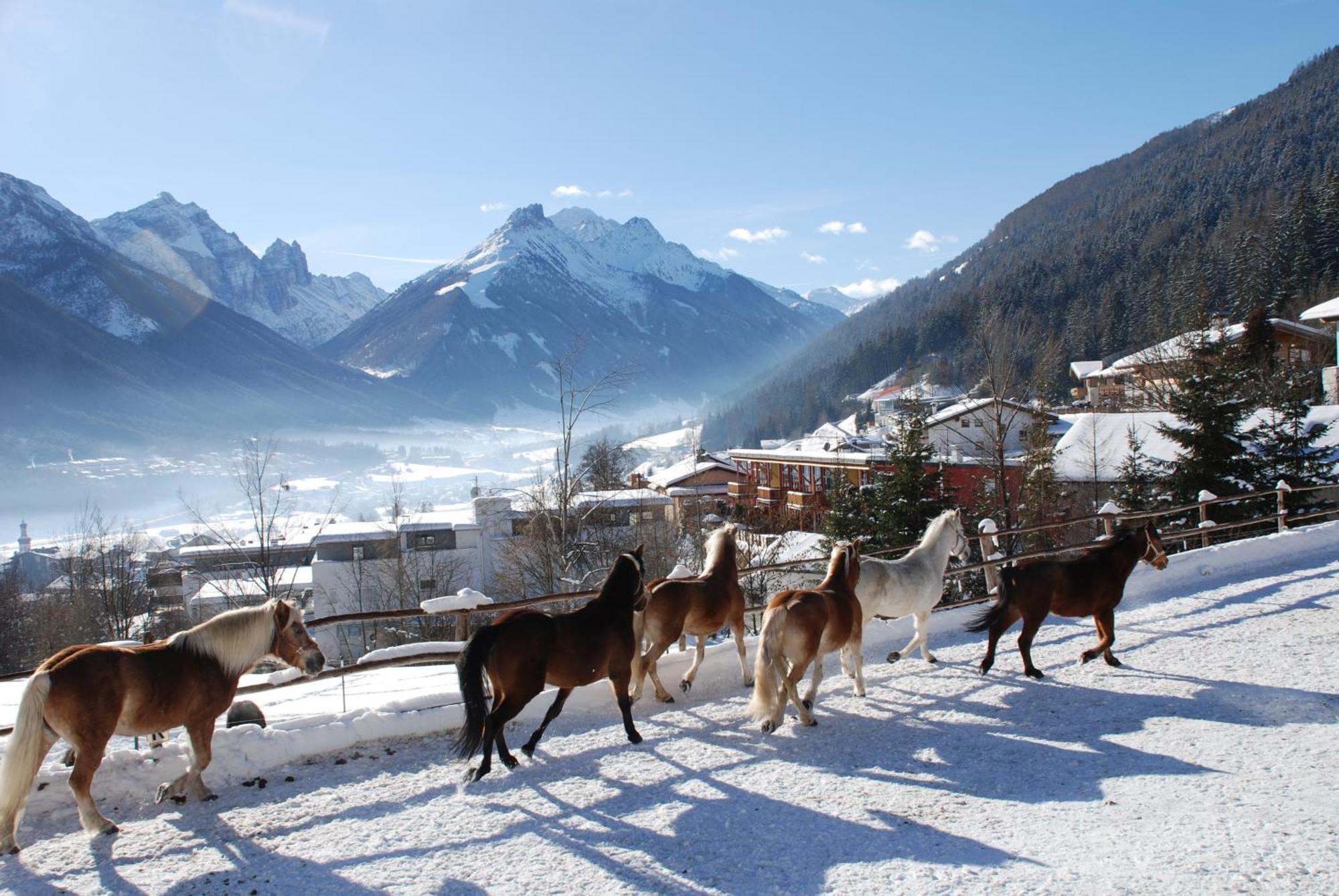 Kassnhof - Urlaub In Den Bergen Apartment Telfes im Stubai Luaran gambar