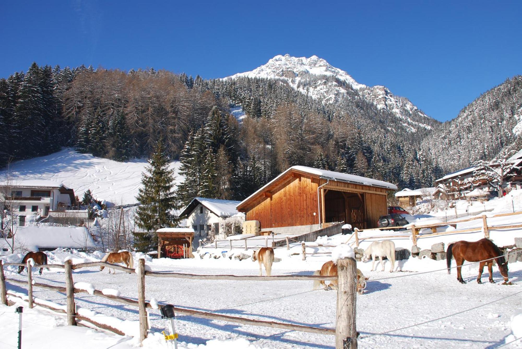 Kassnhof - Urlaub In Den Bergen Apartment Telfes im Stubai Luaran gambar